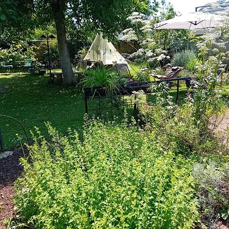 Indian Tent Tipi In Shared Lot And Shared Bathroom Mrse Экстерьер фото